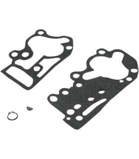 REPL.GASKETS F/DS-194061