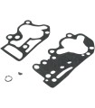 REPL.GASKETS F/DS-194061