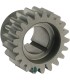 S&S PINION GEAR GR.L77-89