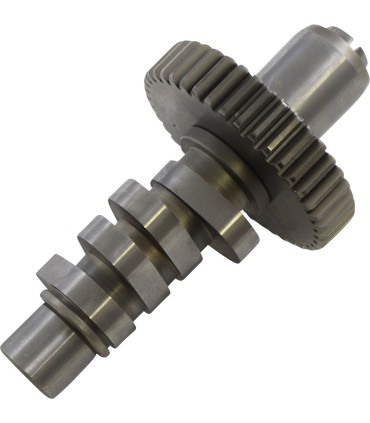 S&S 561 CAM 84-99 EVO