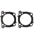 GASKET 4.310 .036 MLS H/G 2024