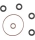 O-RING INDUCTION MODULE KIT 01