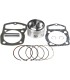 PISTON KIT W/GASKETS
