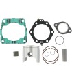 PISTON KIT W/GASKET