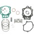 PISTON KIT W/GASKET
