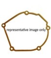 GASKET REPLCMNT SSG-41B