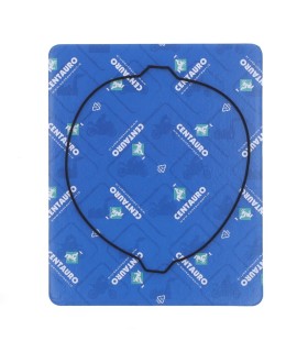 GASKET CLUTCH OUT KT/HV