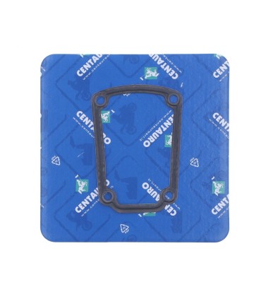 GASKET VALVE CVR DU/CG
