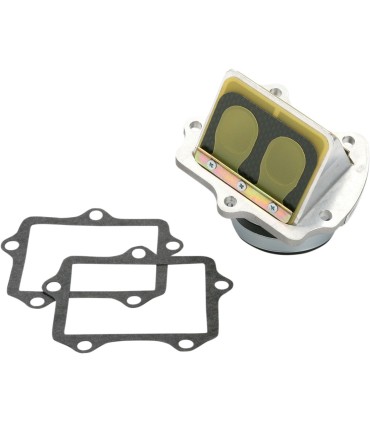 RAD VALVE RM250 04-11