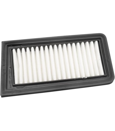 AIR FILTER AN650 BURGMAN