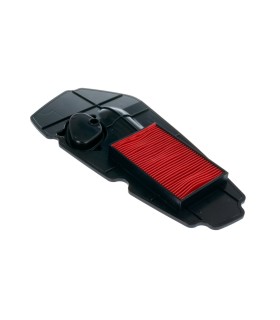 AIR FILTER HON NSS250 08-12