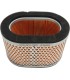 AIR FILTER TRIUMPH