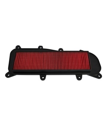 AIR FILTER PEOPLE GT