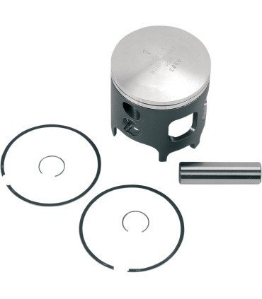 PISTON ASSY BIG BORE STD.