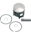 PISTON ASSY BIG BORE STD.