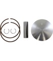 PISTON ASSY BIG BORE .40