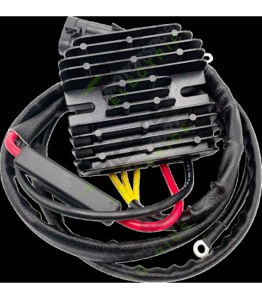 REC-REG HOT SHOT SERIES CAN-AM