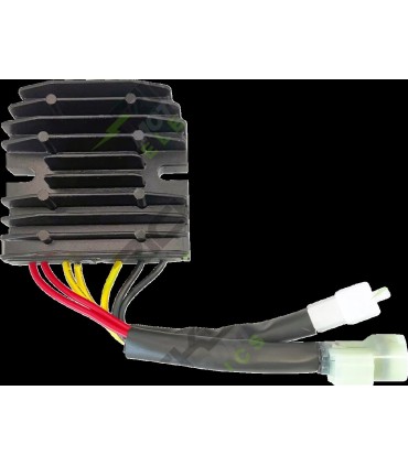 REC-REG HOT SHOT SERIES SUZUKI