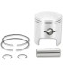 PISTON ASSY ARCTIC STD