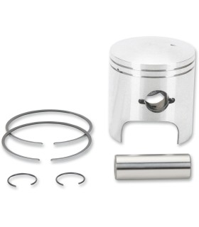 PISTON ASSY ARCTIC STD