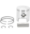 PISTON ASSY ARCTIC STD