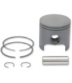 PISTON ASSY POLARIS STD