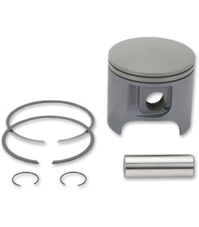 PISTON ASSY POLARIS STD