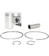 PISTON KIT POL STD