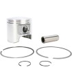 PISTON KIT POL STD