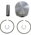 PISTON ASSY POLARIS STD.