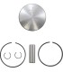 PISTON KIT S-D 720 .25MM