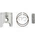 PISTON KIT KX 250 02-04