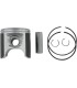 PISTON ASSY PLAT S/D STD