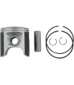 PISTON ASSY PLAT S/D STD