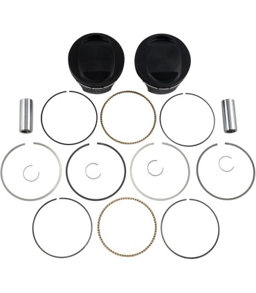 PISTON KIT 96 TO 103 .010