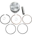 PISTON KIT TRX250X