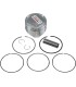 PISTON KIT XR/TRX400