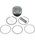 PISTON KIT GRIZZLY/RHINO