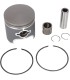 PISTON KIT CAST ARTIC CAT