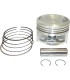 PISTON KIT .50MM KAW 250