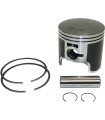 KIT PISTON 1,00MM POL 300