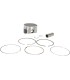 PISTON KIT STD POL 500