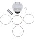 PISTON KIT KX250F 06-09 76 96