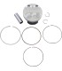 PISTON KIT KX250F 06-09 76 98