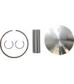 KIT PISTONS KX125 01-02