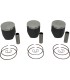 PISTON KT STD A ARTICCAT