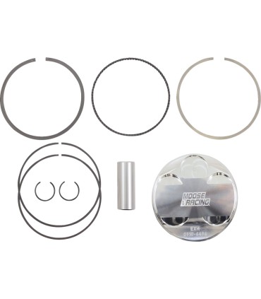 PISTON KIT RAPT/RHIN660