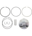 KIT PISTON RAPT/RHIN660