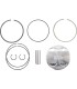 PISTON KIT RAPT/RHI 700RI
