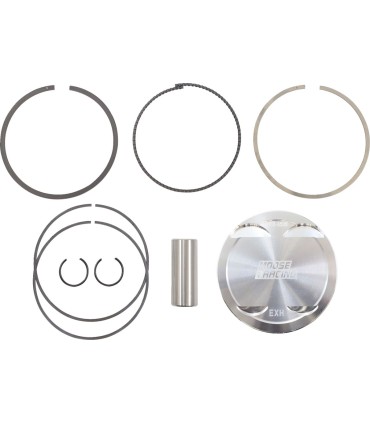 PISTON KIT RPTR 700 10:1